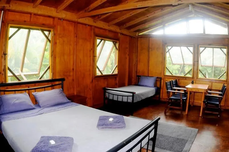 Villa Daintree Rainforest Bungalows Cow Bay Australien