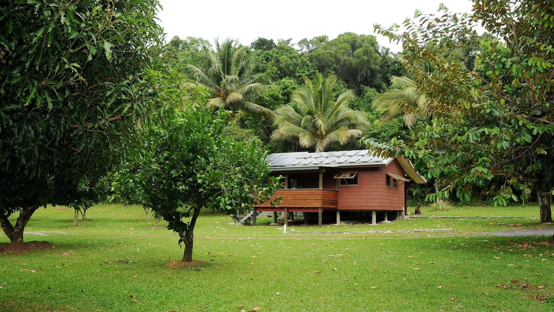 Lodge Villa Daintree Rainforest Bungalows Cow Bay